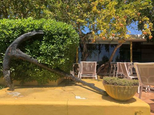 Apartamento 157, Pedras D?el Rei