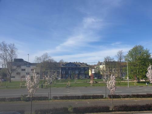 Flora Apartments