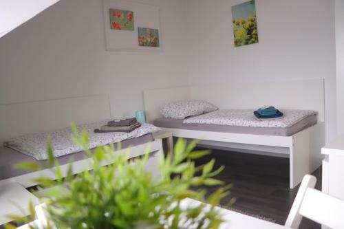Apartamento Zimmer Im Pott 6