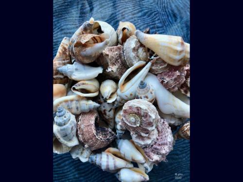 Apartamento Willkommen-gl�ckstadt