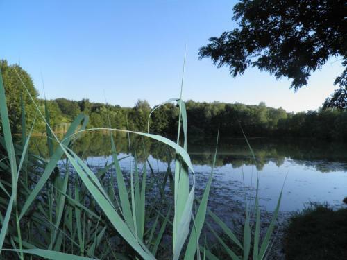 Apartamento Weingut-ferienhof Sch�fer