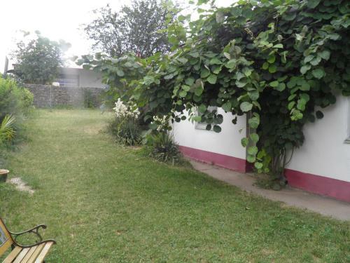 Apartamento Weingut-ferienhof Sch�fer