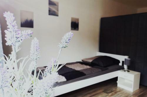 Zentrales Apartment Mit Dachterrasse