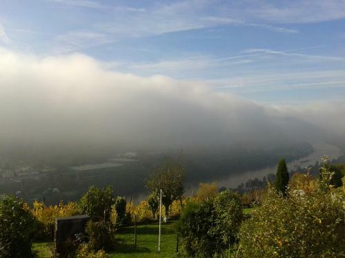 Apartment An Der Mosel