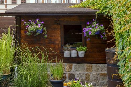 Hostal Pension Wielsch