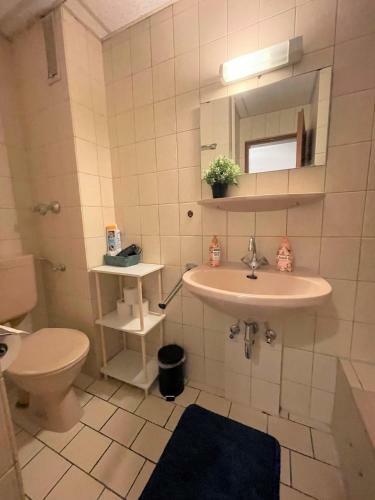 Apartment All You Need