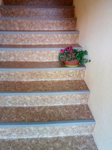Apartamento Ohne Sorgen