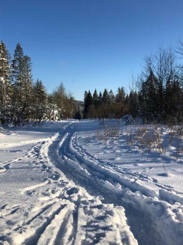 Apartamento Bocksberggl�ck In Hahnenklee