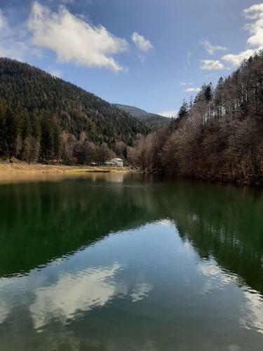 Apartamento Bocksberggl�ck In Hahnenklee
