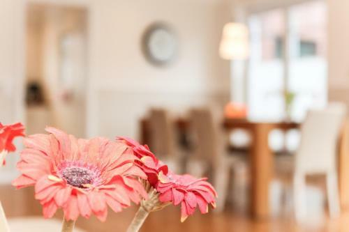 Apartamento Logierhaus-greetsiel 1