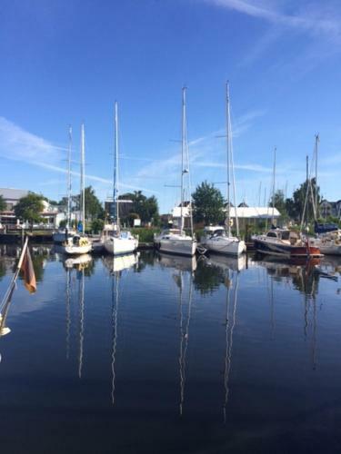 Ferienhaus M�wengrund Am Yachthafen