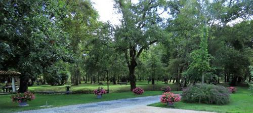 Les Maisons De L�on