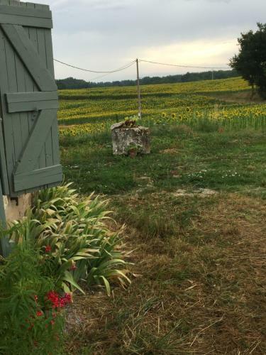 116 Chemin Las Combes