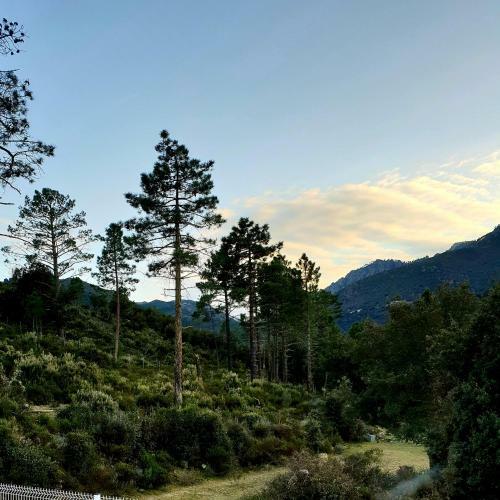Bed & Breakfast Chambre D'h�tes Mantei