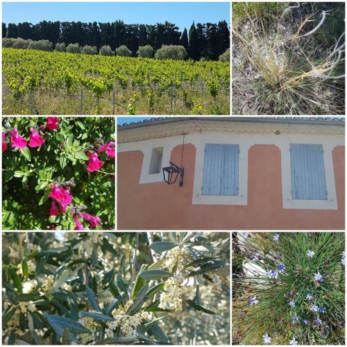 Hostal La Cabane Du Pesquier En Provence
