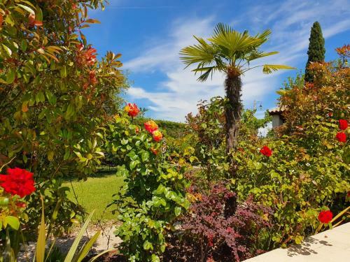 Hostal La Cabane Du Pesquier En Provence