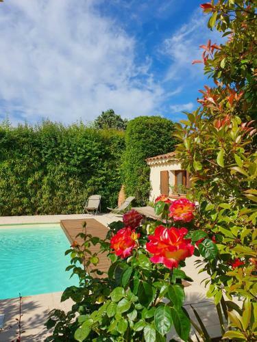 Hostal La Cabane Du Pesquier En Provence