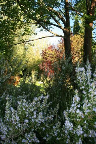 Bed & Breakfast Le Mas de La Cigale Bleue, Caumont Sur Durance