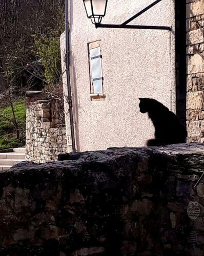 Bed & Breakfast Le Petit Coin de Charme