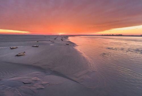 Villa Marcel 150 M Plage Baie de Somme