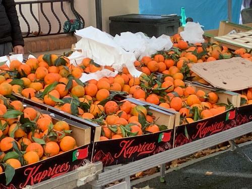 4 Rue P�re Guisset