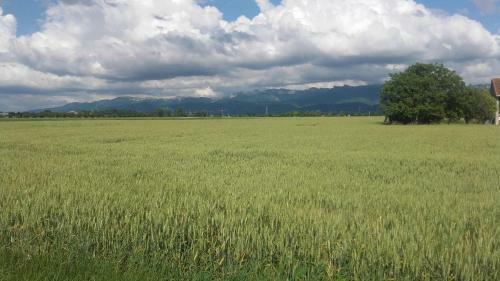 Apartamento Gite La Cle Des Champs