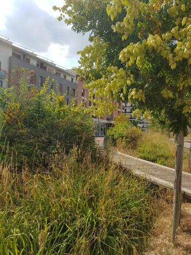 Apartamento 11 Rue de La Pierre Miclare