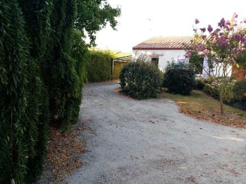 L'eden Naturiste �cureuil