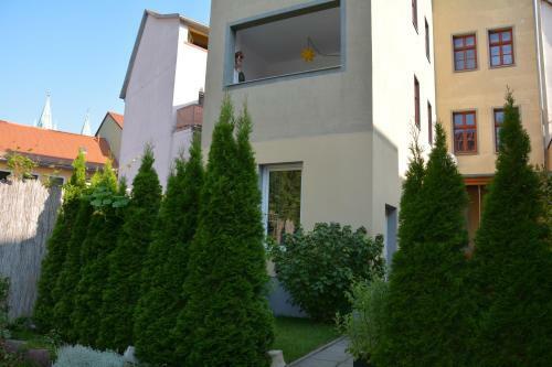 Apartamento Ferienwohnung Domschatz
