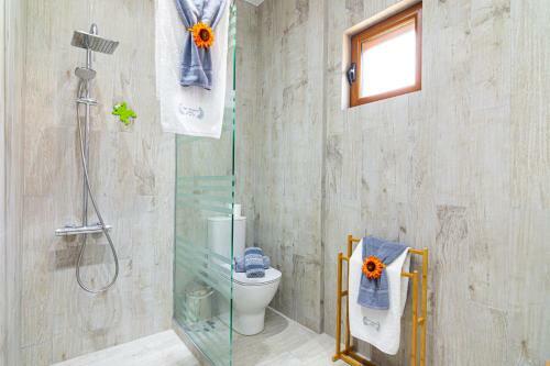 Apartamentos Great Alexander Suites