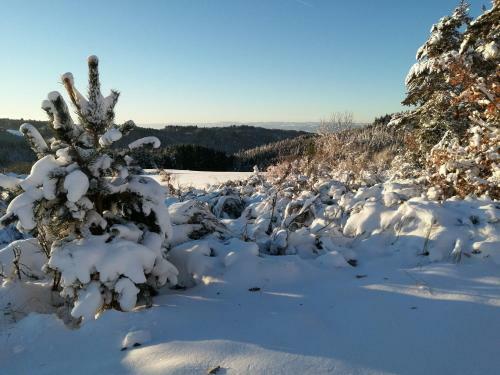 Bed & Breakfast Le Chalet Des Etoiles