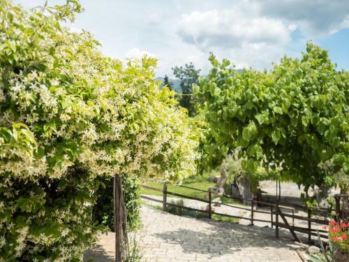 Agroturismo Villa de Luccheri