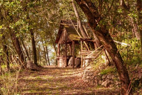 Agroturismo Villa de Luccheri