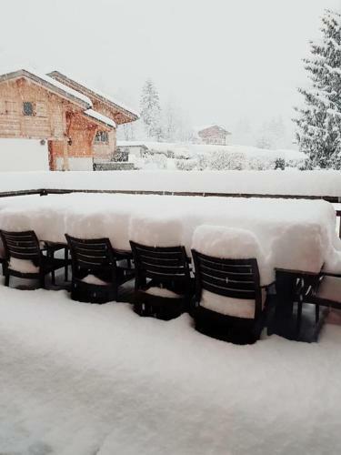 Superbe Chalet-11 Personnes-chamonix(Les Bossons)