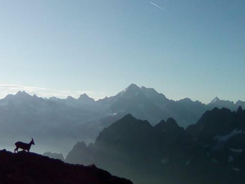 Apartamento Le Chamoniard