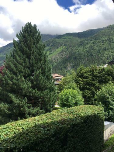Apartamento Chalet Champion
