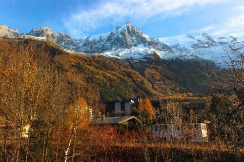Apartamento Les Fleurs de Cham �tage Principal