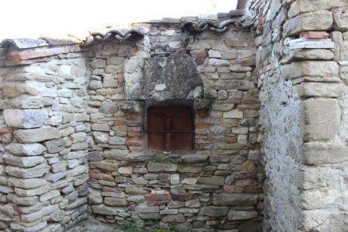 Il Riccio E La Volpe