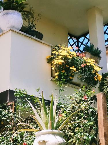 Hostal Luxury Apartment Magnolia Terrace
