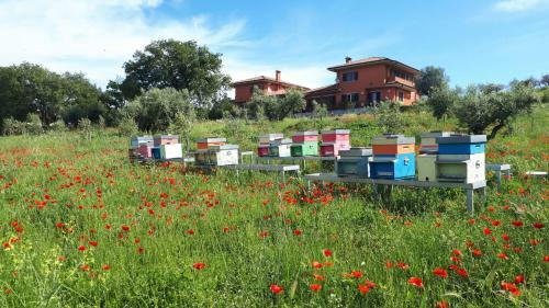 B&B Bee