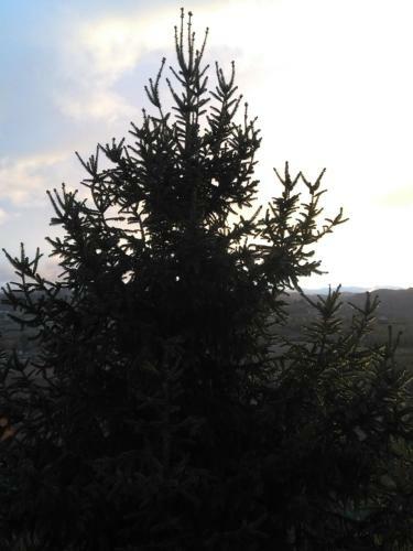 Bed & Breakfast I Quattro Gatti