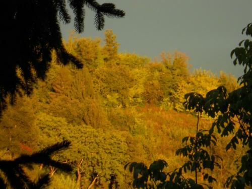 Bed & Breakfast I Quattro Gatti