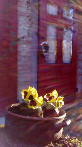 Bed & Breakfast I Quattro Gatti
