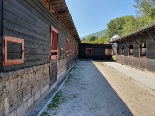Il Vecchio Olmo