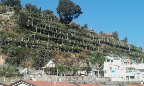 Al Geranio B&B