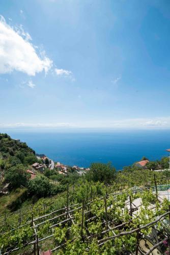 Apartamento Residence Gioia