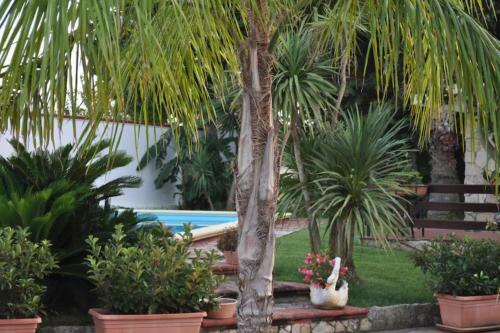 Villa Jacaranda