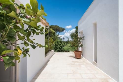 Bed & Breakfast Tenuta Donnanna