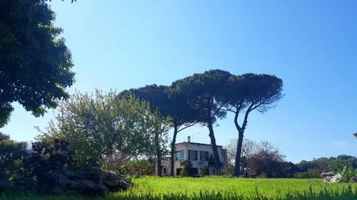 Bed & Breakfast Tenuta Donnanna