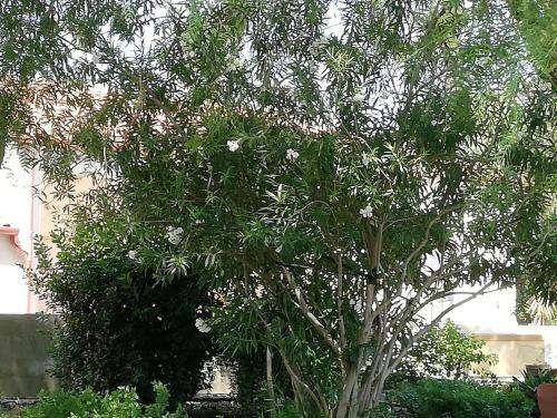 Salento Country House